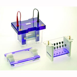 Elektroforéza (omniPAGE 2D systems)